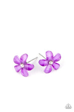 Load image into Gallery viewer, Starlet Shimmer Earring Kit
